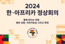 한-아프리카 협력 63년째…“핵심광물 파트너십으로 자원협력 확대”