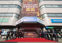 대구농수산물유통관리공사, 도약의 첫 해를 넘어 미래로! 출범 1년 성과와 2025년 추진계획 발표