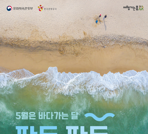 파도 파도 끝없는 대한민국 바다의 매력 속으로