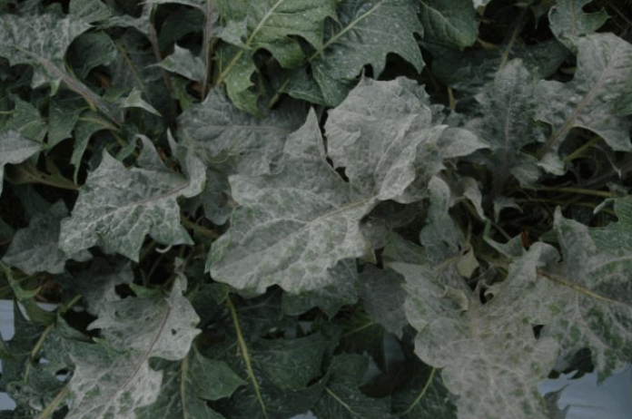 스크린샷 2025-09-08 150647