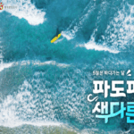 ‘5월은 바다 가는 달’, ‘파도파도 색다른 바다 여행’ 떠나요